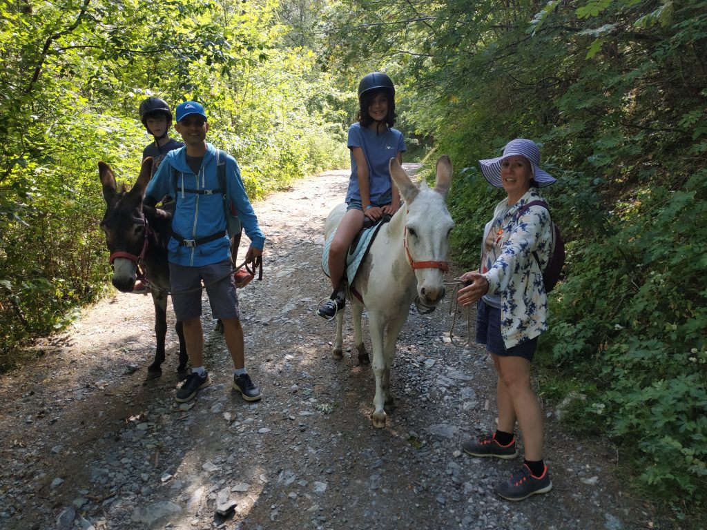 Famille en randonnée avec un âne, Alpes de Haute Provence