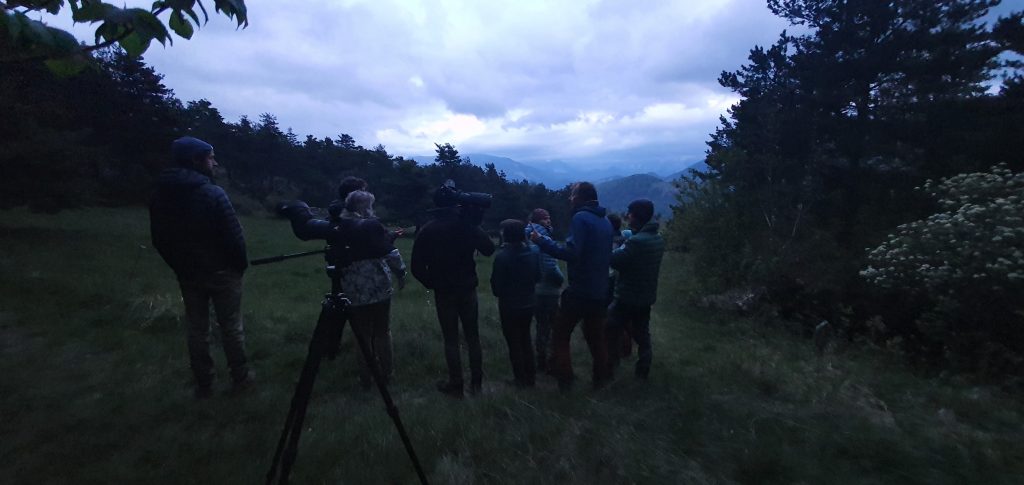 Rencontre de passionnés d'ornithologie dans les Alpes de Haute Provence