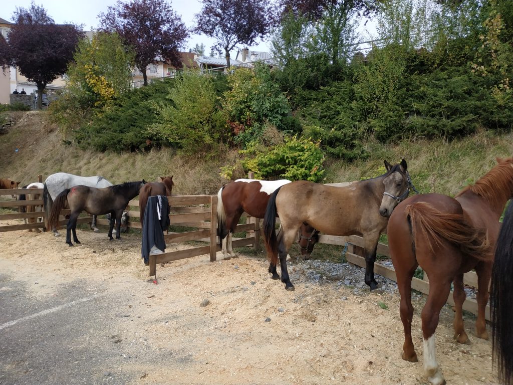 foire agricole de Seyne
