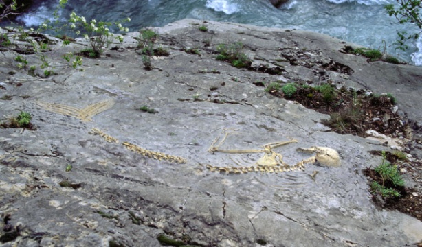 Joan Fonctuberta, Les hydropithèques,
Le solitaire, Cascade du Jardin Saint-Benoît, Digne-les-Bains