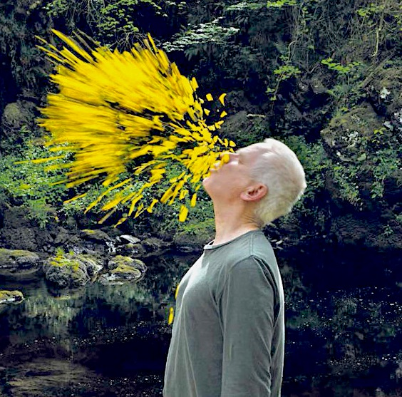 Photo de l'artiste Andy Goldsworthy, avec une explosion de couleur jaune sortant de son visage. Artiste ayant grandement contribué à la collection d'Art en Montagne Alpes de Haute Provence