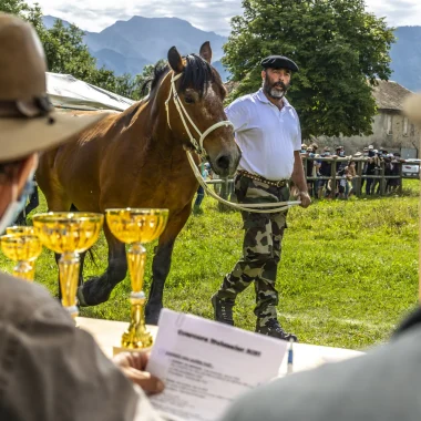 Eleveur présentant son mulet au Concours Mulassier de Seyne les Alpes