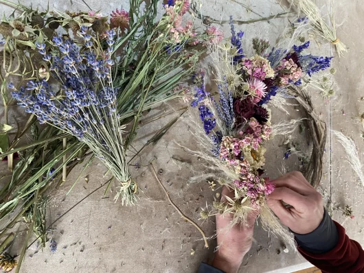 L’art floral en Haute-Provence : Joëlle et son Champ des Ombelles